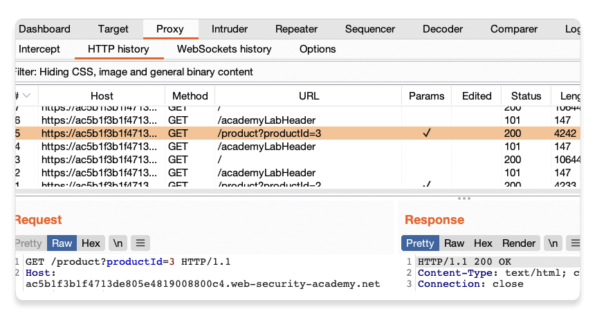 Burp Suite Repeater interface showing a side-by-side view of an HTTP request and its response