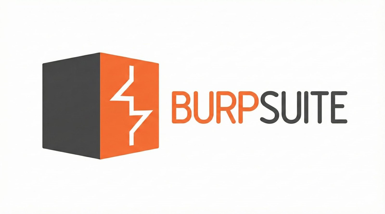 Burp Suite Official Logo